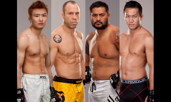 UFC JAPAN 2013